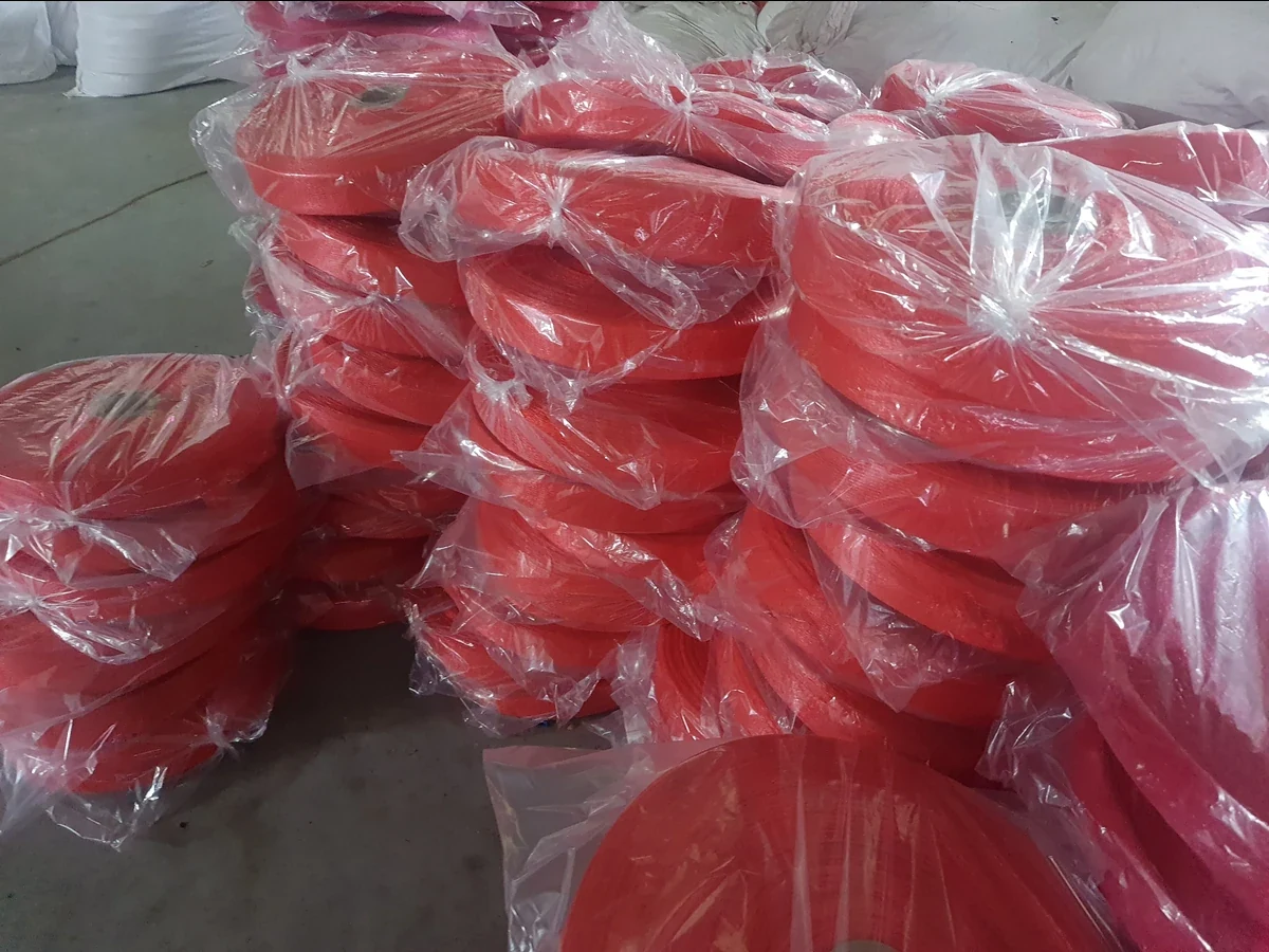 Satya Group packaging net manufacturing facility